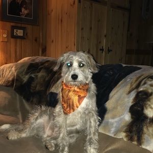 Meet your Posher, Colleen